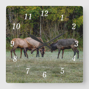 Drei Bull Elk Fight Wall Clock Quadratische Wanduhr