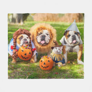 Drei Bulldoggen in Kostümen Fleecedecke