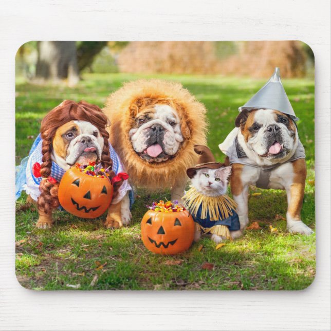 Drei Bulldoggen in Kostümen Mousepad (Vorne)