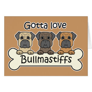 Drei Bullmastiffs