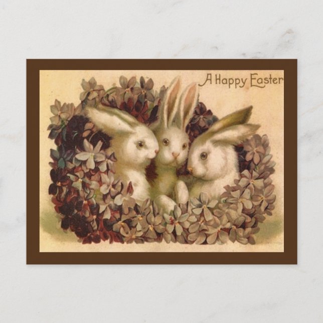Drei Bunnies Vintag Ostern Grußkarte Postkarte (Vorderseite)