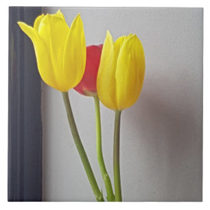 Drei bunte Tulpen Keramik Fliesen