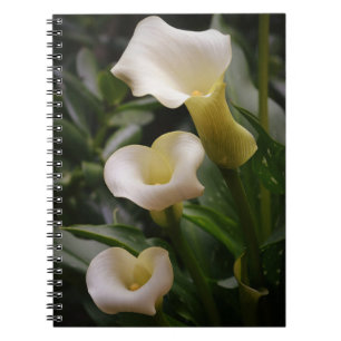 Drei Calla Lily Blume vom Gertie's Garden Notizblock