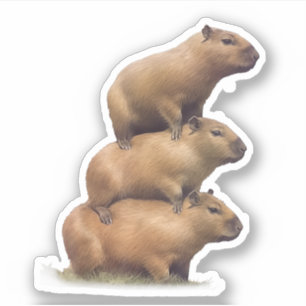 Drei Capybaras Funny Capybara Spaß Aufkleber