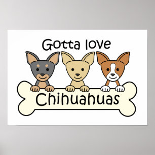 Drei Chihuahua Poster