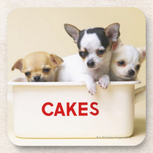 Drei Chihuahuawelpen im Kuchenzinn Untersetzer