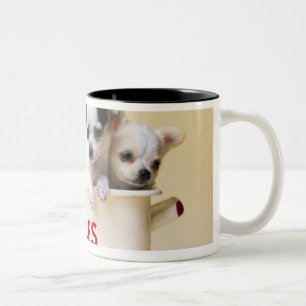 Drei Chihuahuawelpen im Kuchenzinn Zweifarbige Tasse