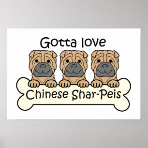 Drei chinesische Shar-Peis Poster
