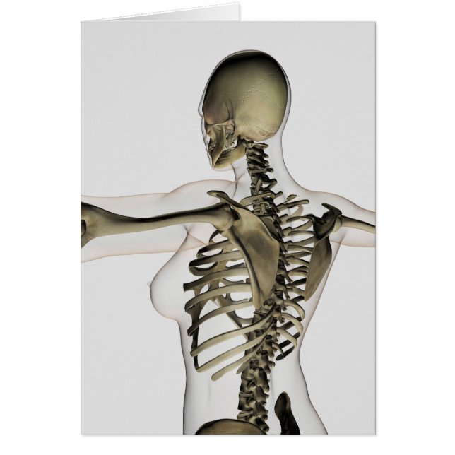 Drei dimensionale Sicht auf die weibliche obere Rü (Vorne)