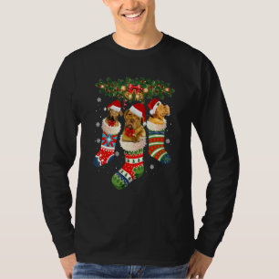 Drei Dogue De Bordeaux im Socken-Weihnachtsmann X T-Shirt