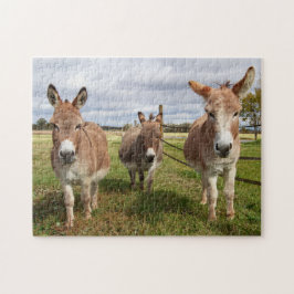 Drei Donkey Puzzle