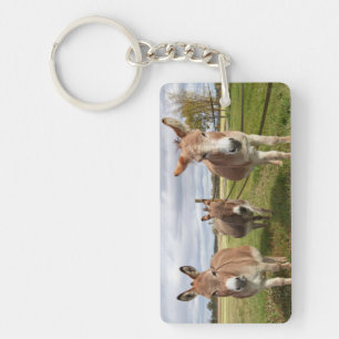 Drei Donkey Schlüsselanhänger