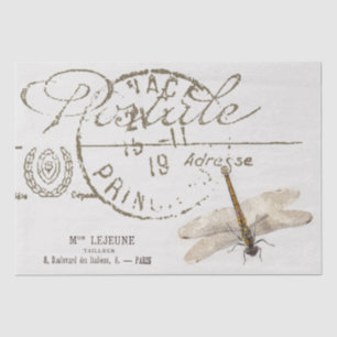 Drei Drachenfliege französisches Postale Entdeckun Seidenpapier