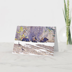 Drei Elche, notecard