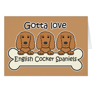 Drei englische Cockerspaniel-Spaniels