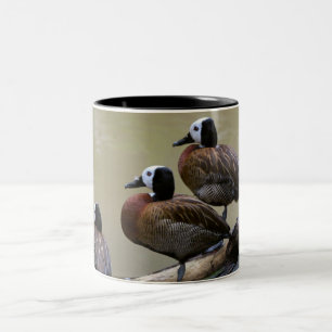 Drei Enten auf einer Klotz-Tasse Zweifarbige Tasse