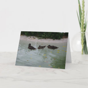 "Drei Enten" Danke Karte