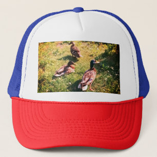Drei Enten Truckerkappe