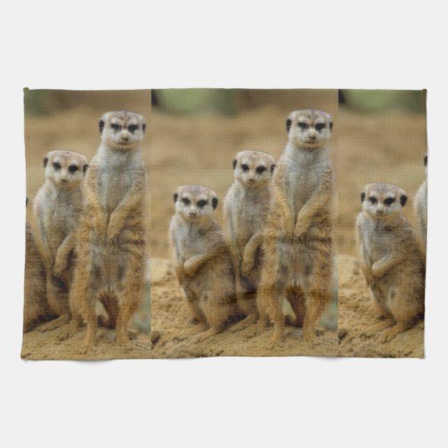 drei Erdmaennchen (Suricata suricatta) Handtuch (Horizontal)