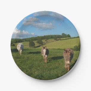 Drei Esel auf einem Feld Pappteller
