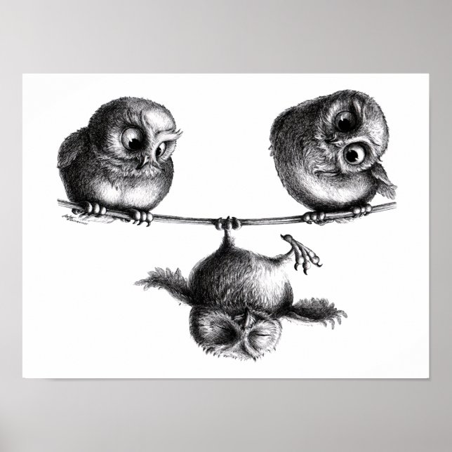 Drei Eulen Freiheit und Spass Poster (Vorne)