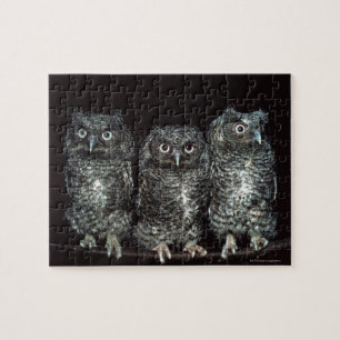 drei Eulen Puzzle