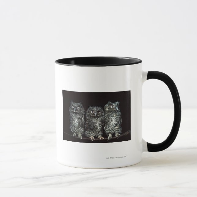 drei Eulen Tasse (Rechts)