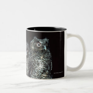 drei Eulen Zweifarbige Tasse