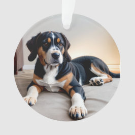 Drei-Farben-Hundeporträt Ornament