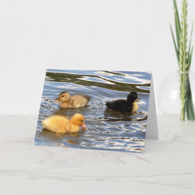 Drei farbige Entlein Karte (Vorderseite)