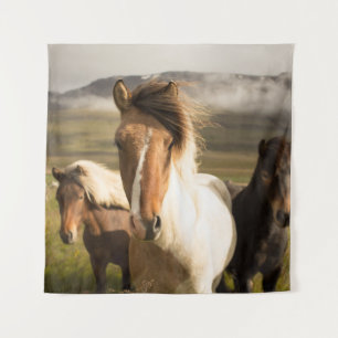 DREI FARBPFERDE, DIE VON EINEM MO ENTFERNT SIND WANDTEPPICH