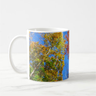 Drei Farbschattierungen von bunten Herbst-Ahornbäu Kaffeetasse