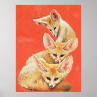 Drei Fennec Fox Kits Poster