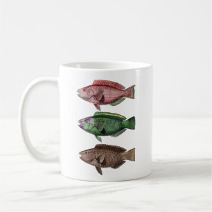 Drei Fische, Papageienfische Tasse