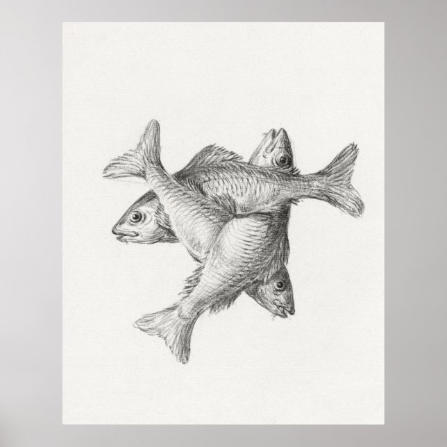 Drei Fische Poster (Vorne)