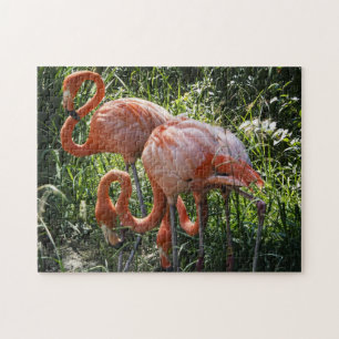 Drei Flamingo-Puzzlespiel Puzzle
