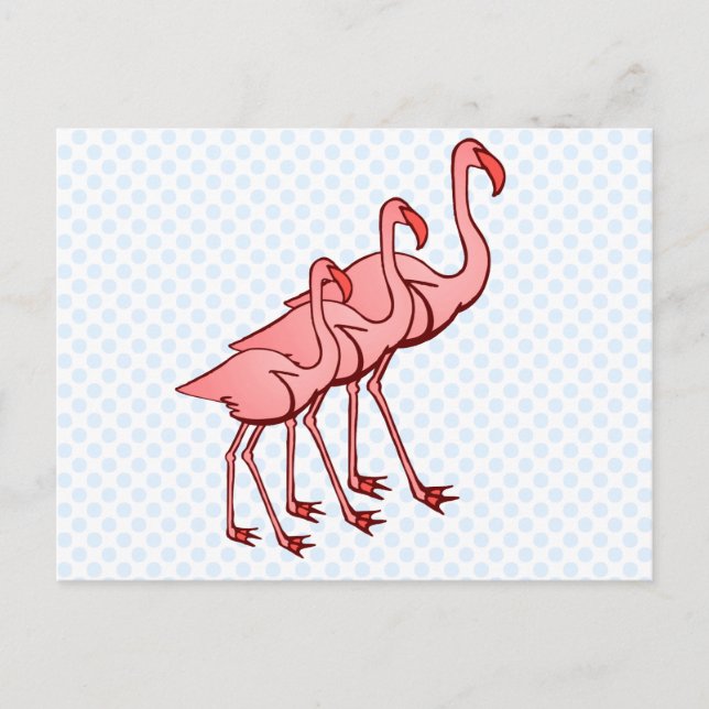 Drei Flamingos Postkarte (Vorderseite)