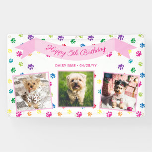 Drei Foto farbenfrohe Paw Prints Pink Pet Geburtst Banner
