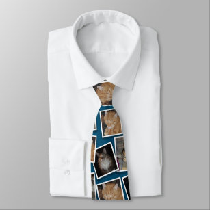 Drei-Foto-Pet-Fotografie-Muster Krawatte