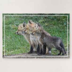 Drei Fox Kits Puzzle