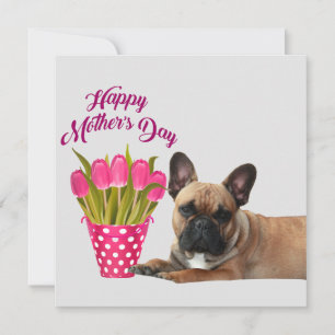 Drei Französische Bulldoggen Danke French Bulldog Einladung