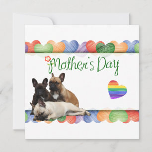 Drei Französische Bulldoggen Danke French Bulldog Einladung