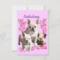 Drei Französische Bulldoggen Danke French Bulldog