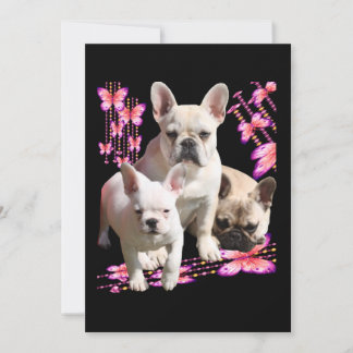 Drei Französische Bulldoggen Danke French Bulldog Save The Date
