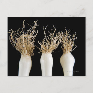 Drei Frühlingszwiebeln Postkarte