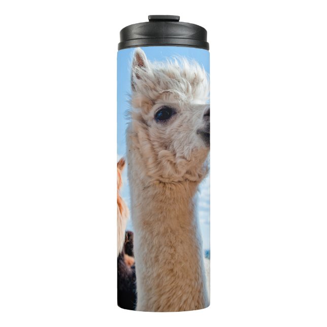 Drei Funny Alpacas Thermosbecher (Vorderseite)
