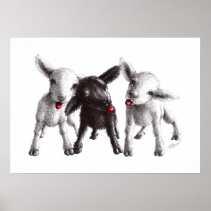 Drei Funny Cheeky Sheep Poster