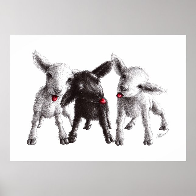 Drei Funny Cheeky Sheep Poster (Vorne)