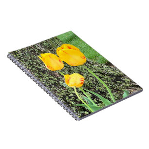 Drei gelbe Tulips / Spirale Notizblock