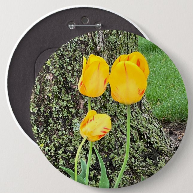 Drei gelbe Tulissen / Button (Vorne & Hinten)